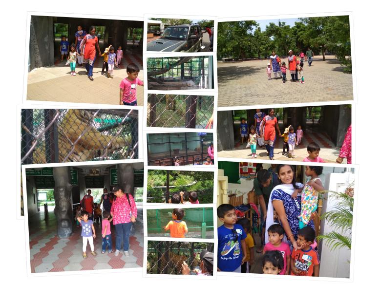 collage - Zoo